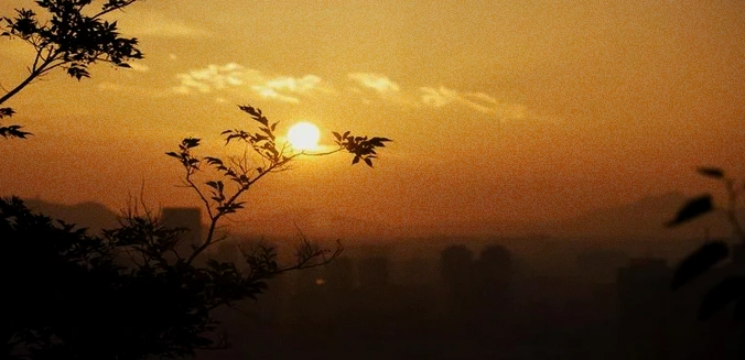 30句自律励志句子：自律即自由，坚持定成功